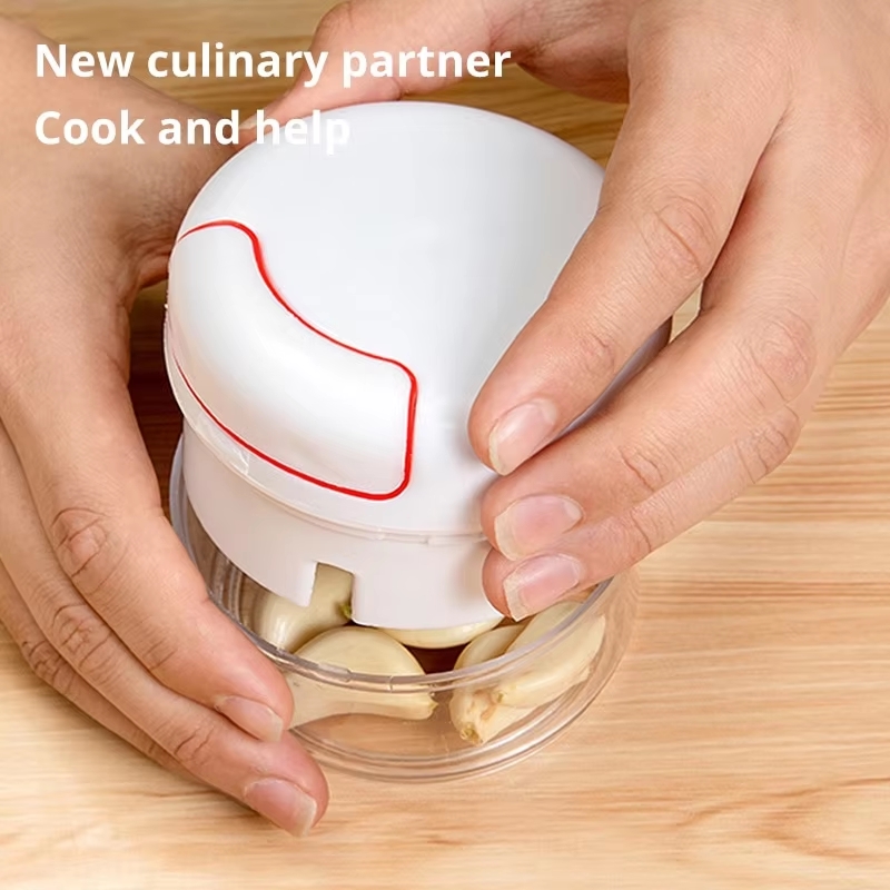 1PC Mini Garlic Crusher Press  - Kitchen Gadgets Garlic recension och pris